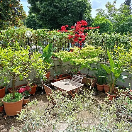 Homestay Pi Rome